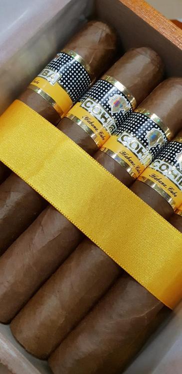 Cohiba Robusto HQ ABR 19.jpg