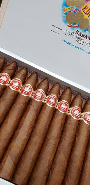 Upmann Number 2  PSP ABR 19.jpg
