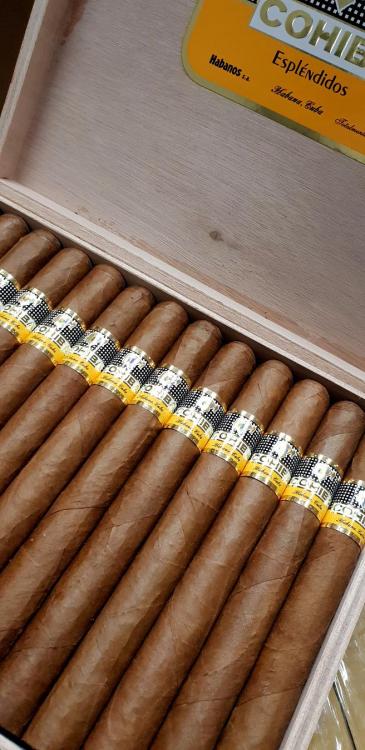 Cohiba Esplendido DIC 18.jpg