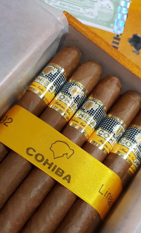 Cohiba siglo II UAO JAN 18.jpg