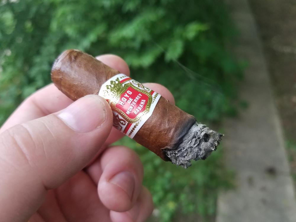 20190527_194426.jpg