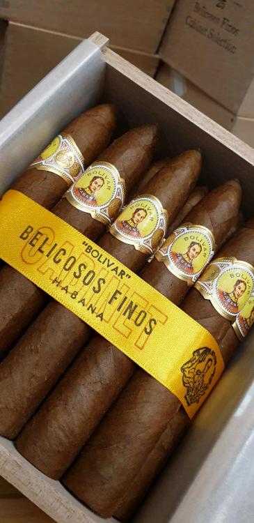 Bolivar belicoso Finos PSP MAY 19.jpg