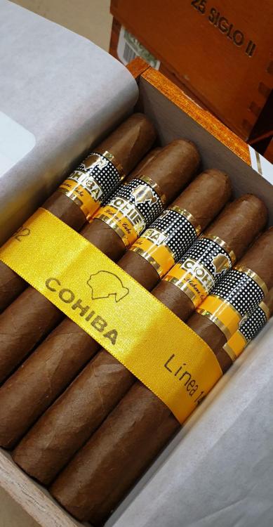 Cohiba Siglo II PSP MAy 19.jpg