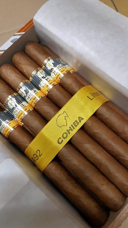 Cohiba Siglo V HP FEB 17.jpg