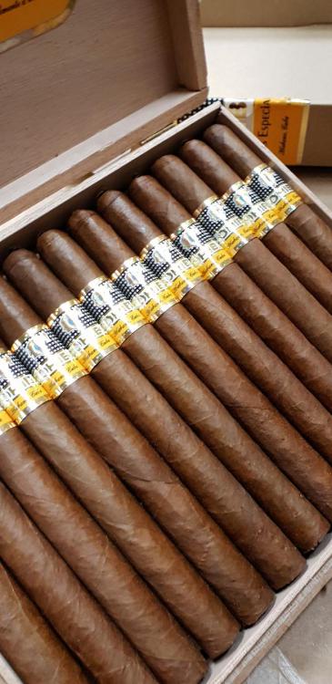 Cohiba Corona Especial.jpg