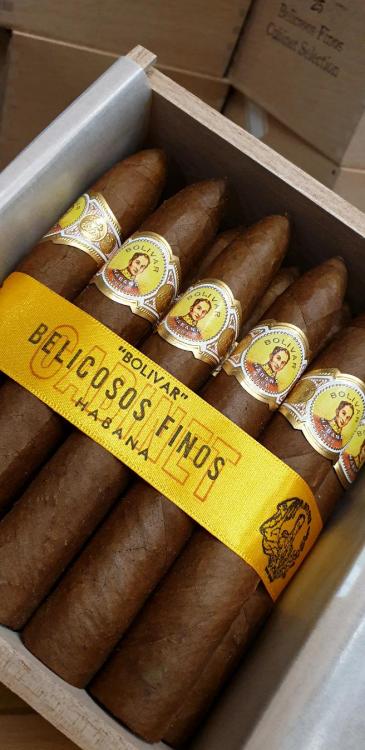 Bolivar Belicoso Finos PSP JUN 19.jpg