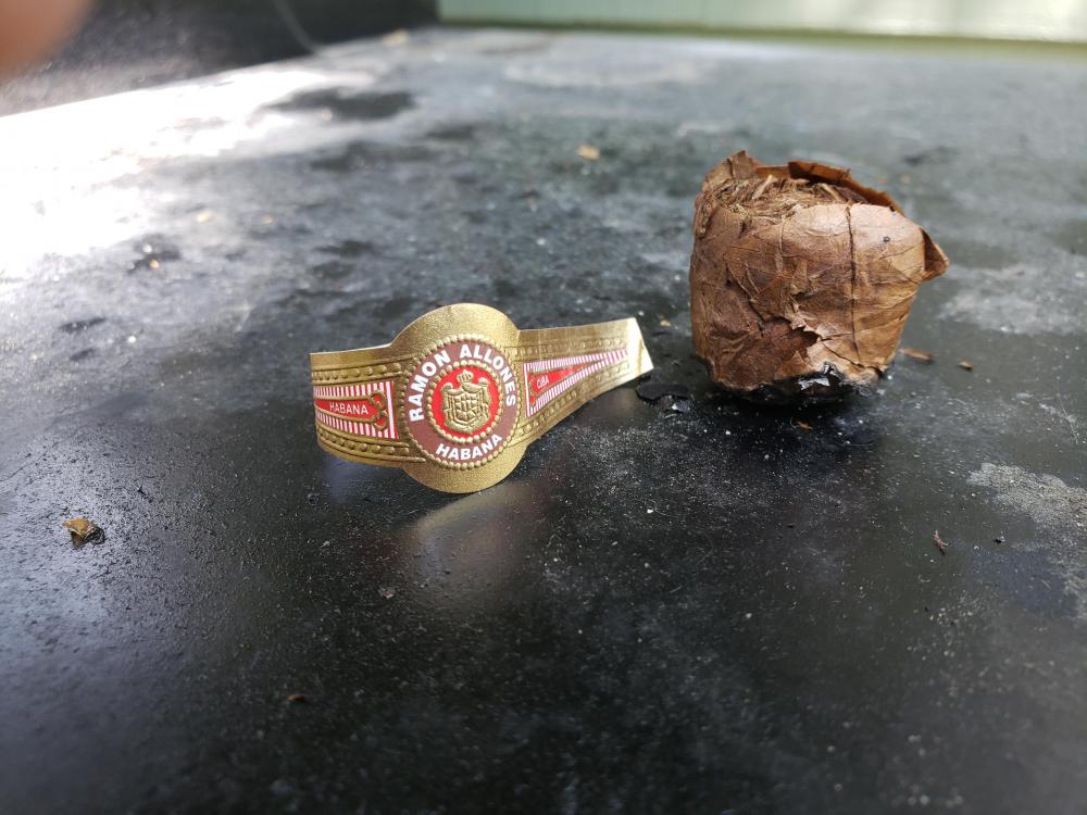 20190601_115515.thumb.jpg.01b8164ad9d177416953529fc5841785.jpg