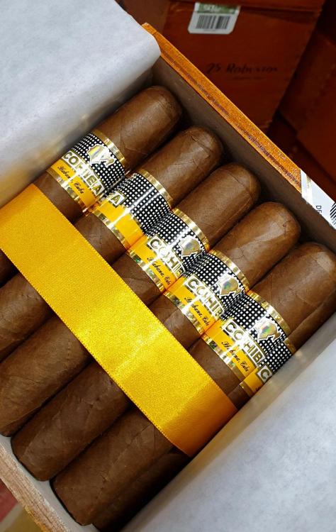 Cohiba Robusto PSP JUN 19.jpg