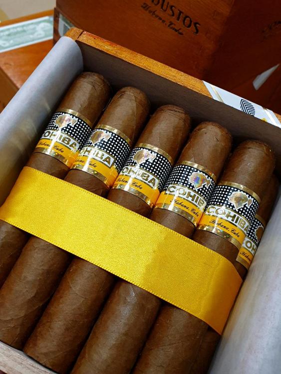 Cohiba Robusto PSP.jpg