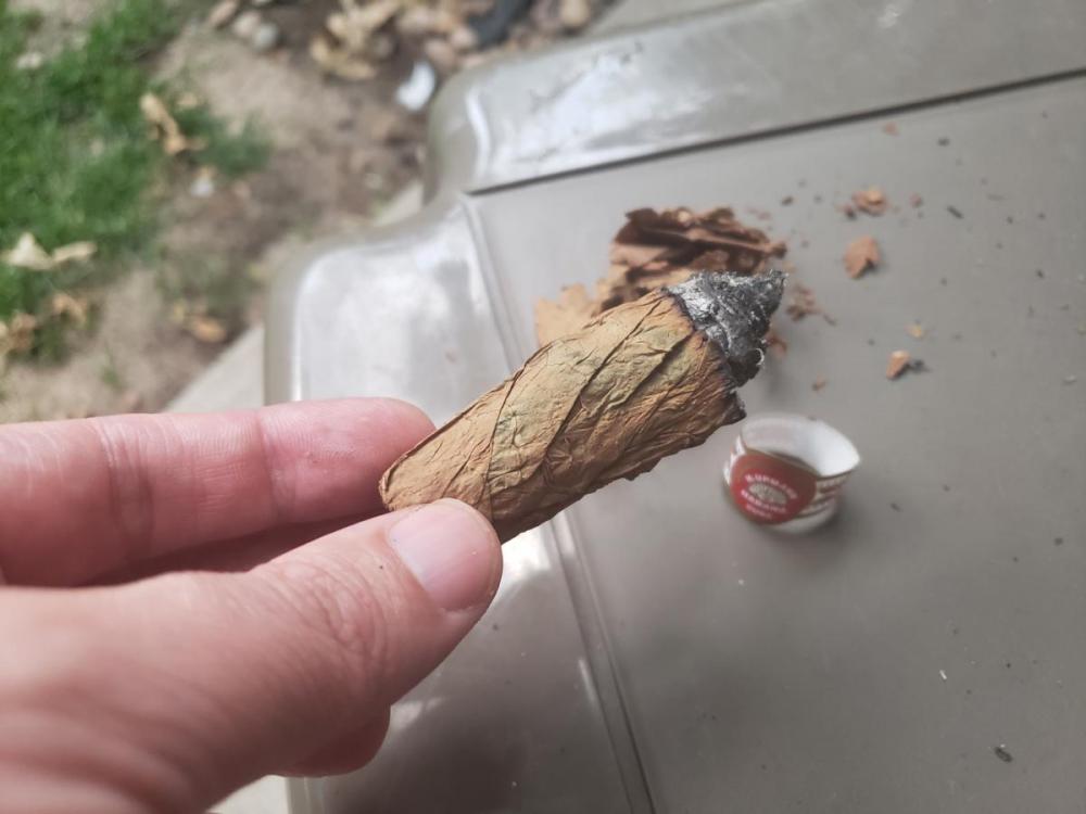 20190721_201416.thumb.jpg.9000e1bbbdfa90c08de54d9a751a70e2.jpg