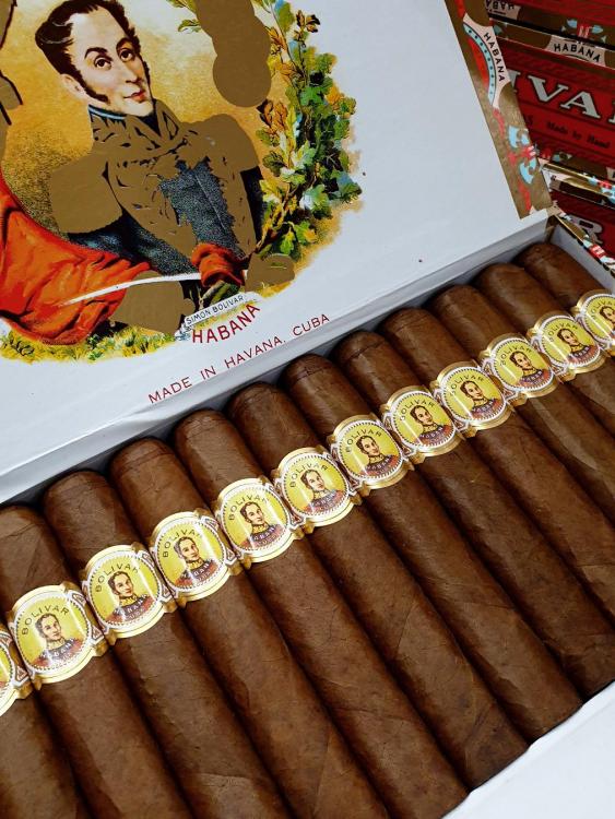 Bolivar Royal Corona PSP JUL 19.jpg