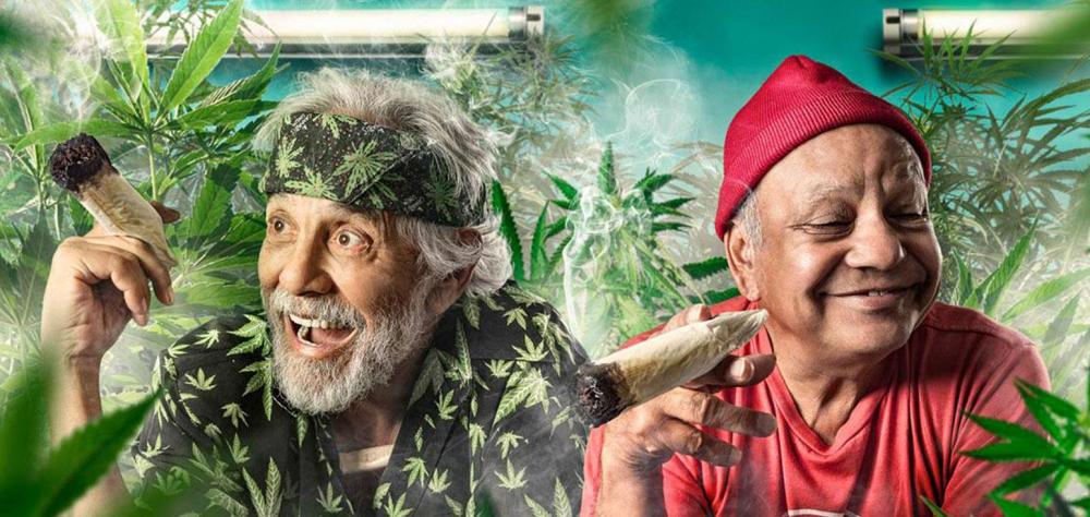 cheech-and-chong.thumb.jpg.f42e84f4bd3f65ac7116607c3d3e9582.jpg