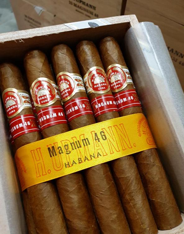 H. Upmann Magnum 46 PSP AGO 19.jpg