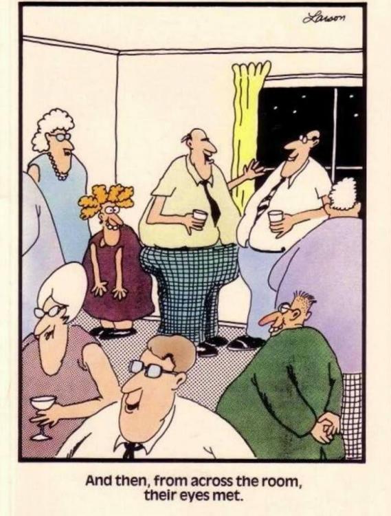 Far Side_Across the room eyes.jpg