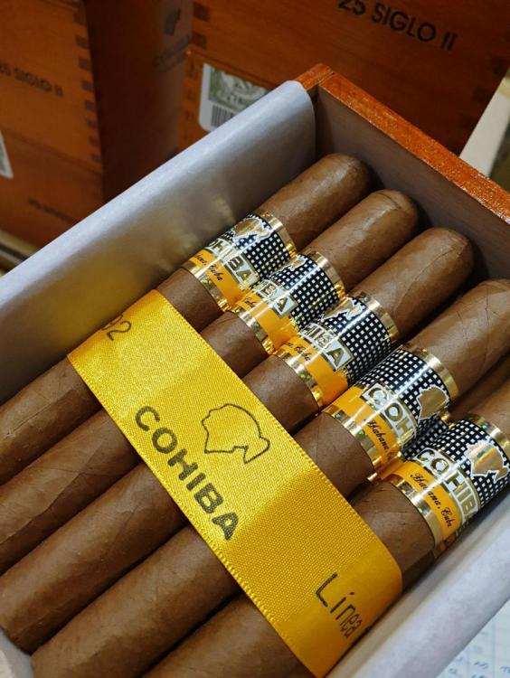 Cohiba Siglo II PSP AGO 19.jpg