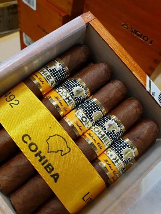Cohiba Siglo 1 PSP AGO 19.jpg