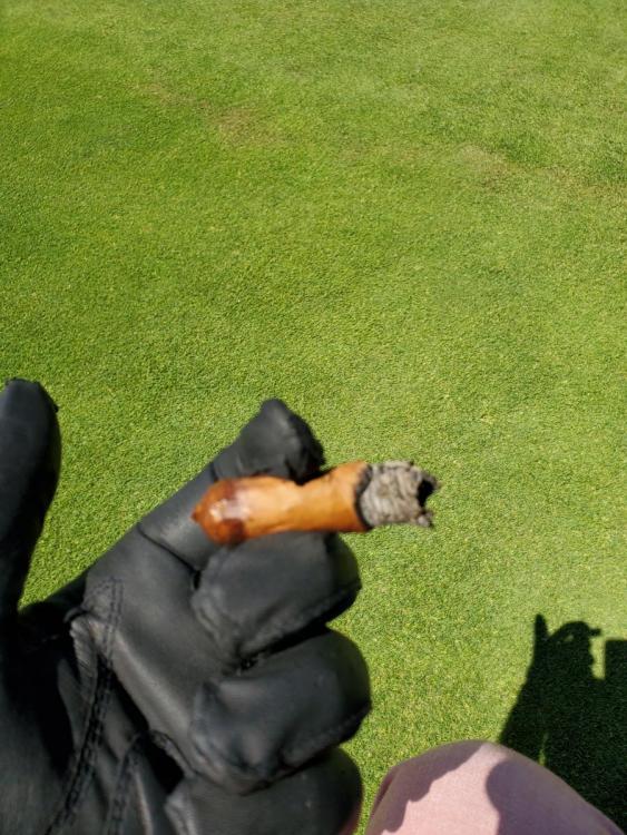 20190803_113012.thumb.jpg.54d09689e05c7891433ff340186bd4dc.jpg