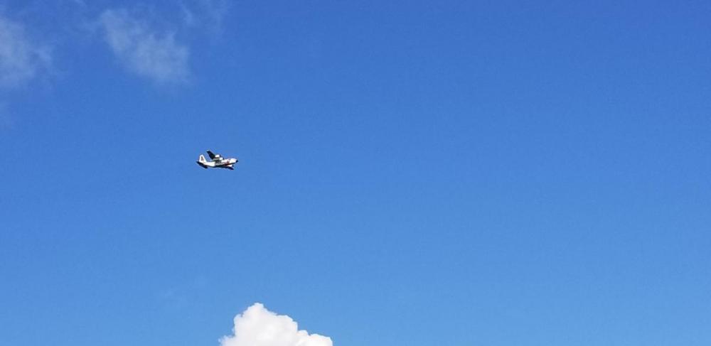 20190804_094658.jpg