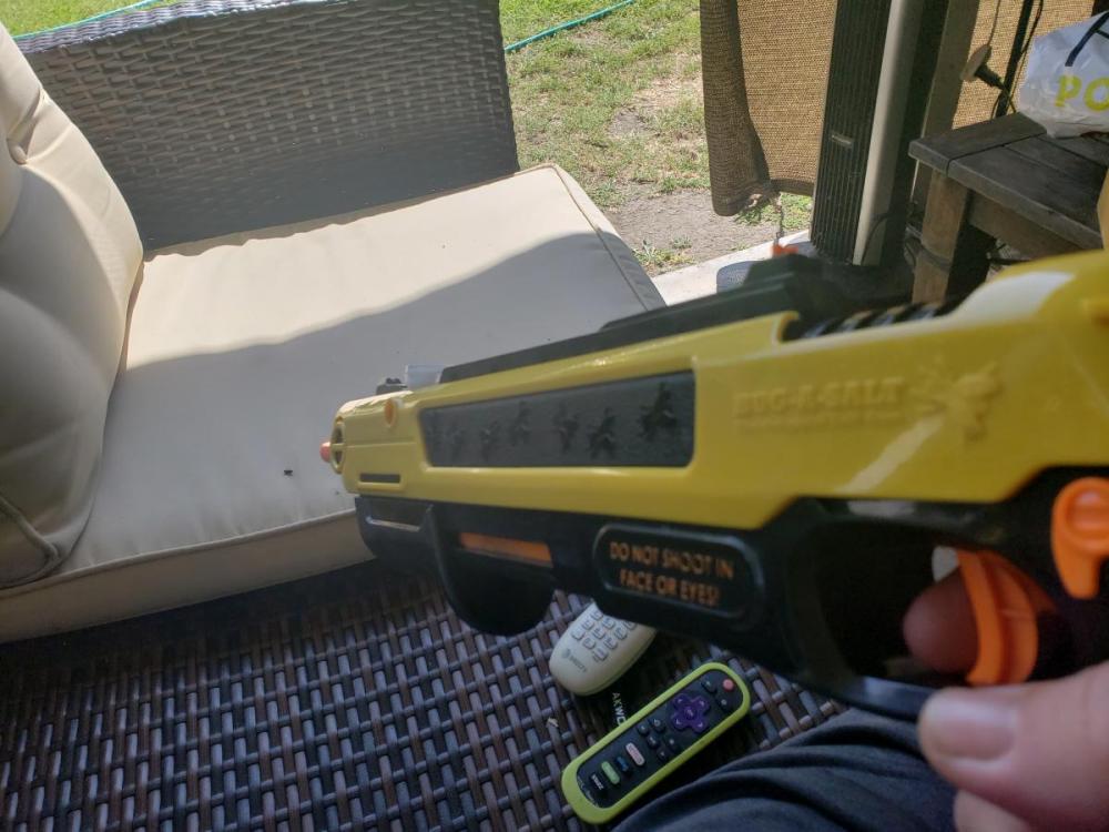 20190810_104016.thumb.jpg.b3ed3d92be781d6e31904f8f6a41e931.jpg