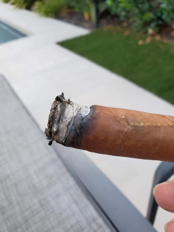 20190825_064503.thumb.jpg.413c016a5a35ac7a3b93ec6f2d667045.jpg