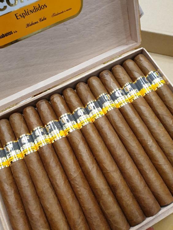 Cohiba Esplendidos PSP AGO 19.jpg