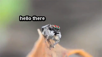 image.gif.333e0c5838fc073b6ebd7ef7abb0ca2a.gif