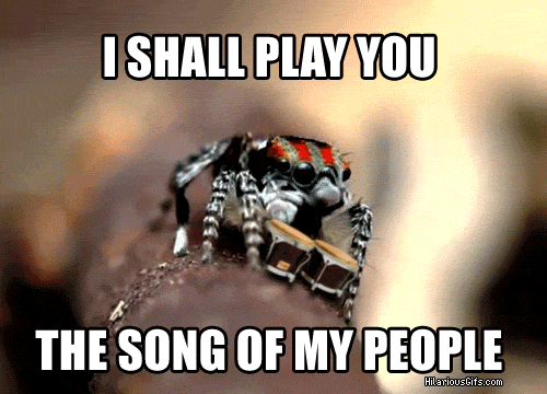 image.gif.54d6850e1ac244e99512177ea105a826.gif