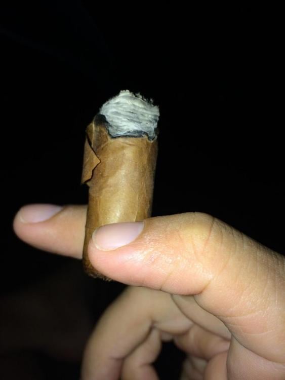 UNADJUSTEDNONRAW_thumb_7984.thumb.jpg.00697a4429caf02867dca1b6b39b33c7.jpg