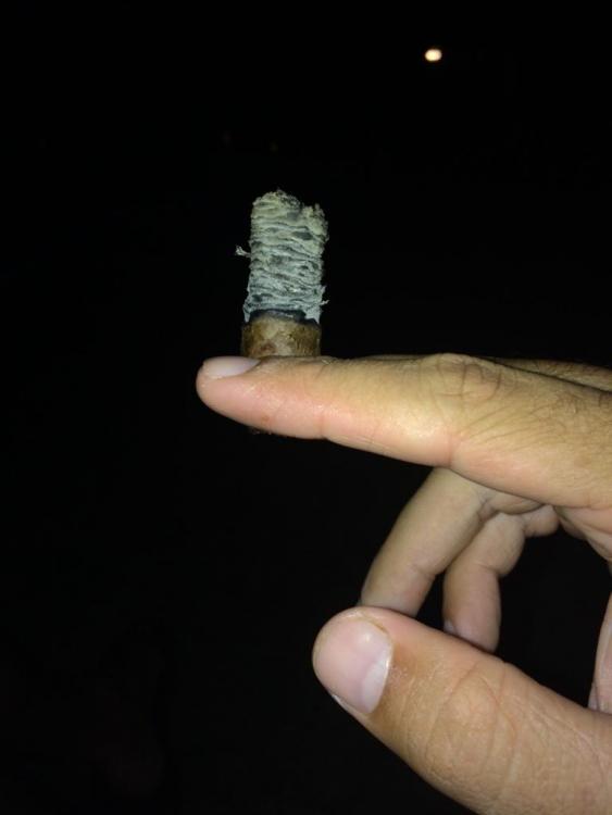 UNADJUSTEDNONRAW_thumb_7adb.thumb.jpg.26575024dbc24f1e14312e713f954279.jpg