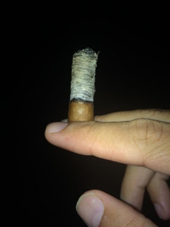 UNADJUSTEDNONRAW_thumb_7ae8.thumb.jpg.31a6106ce94a4e6bb7a9f7de431e66be.jpg