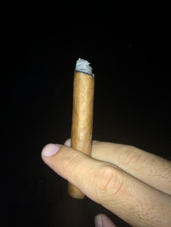 UNADJUSTEDNONRAW_thumb_7ae9.thumb.jpg.1a1e5ed044555c883ce9dc6ebf2b899f.jpg