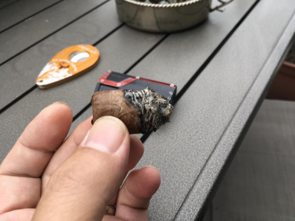 081042CA-2D02-4491-A4B9-24C78788248B.thumb.jpeg.d23611ba87130e89764ca0091538af99.jpeg