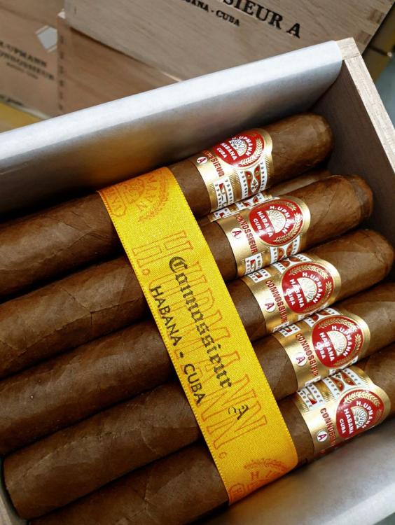 H. Upmann Connaisseur A OT 19.jpg