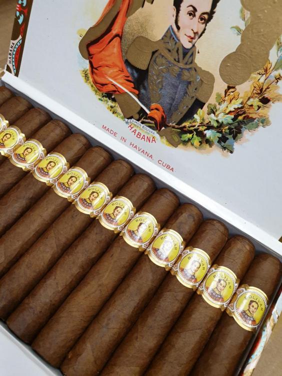 Bolivar Royal Corona PSP NOV 19.jpg