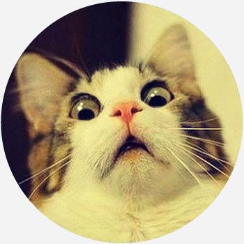 mind-blown.jpg.6b070dc23ff11149a0971146c68ca761.jpg