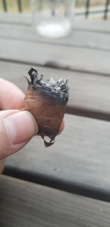 20191102_180039.thumb.jpg.d5071510b2f50624aea3bcb2b3b303eb.jpg