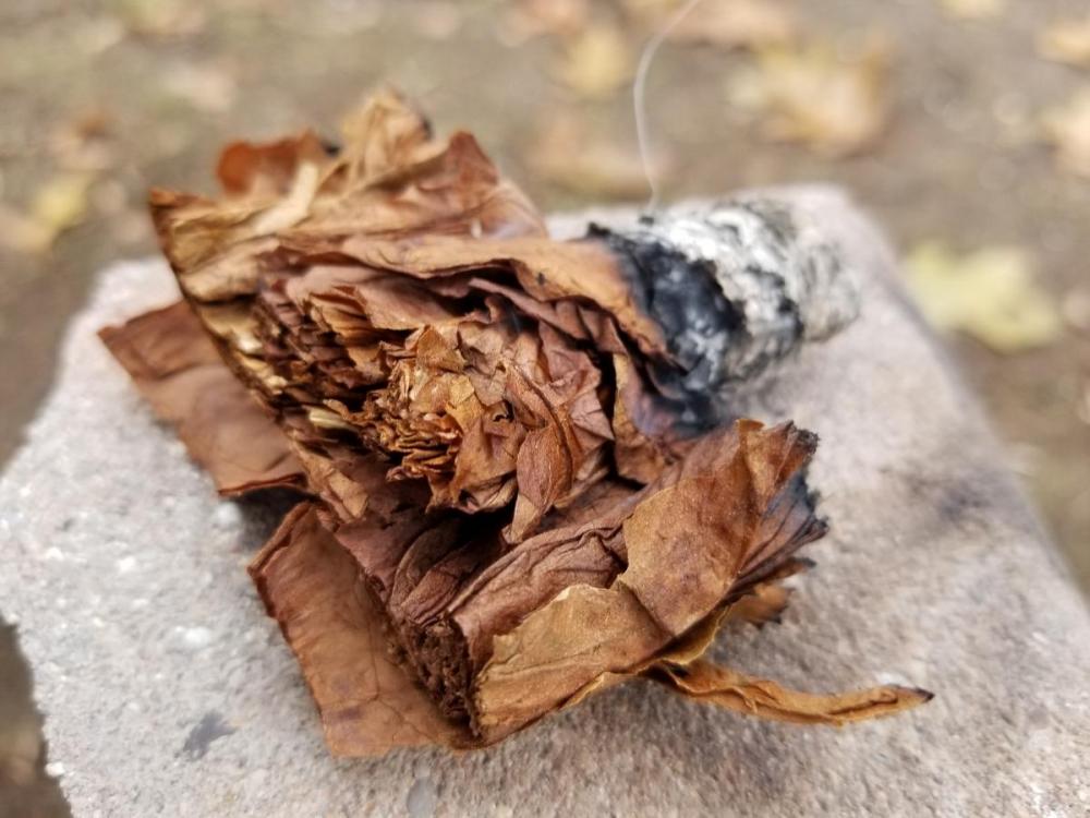20191123_141951.jpg