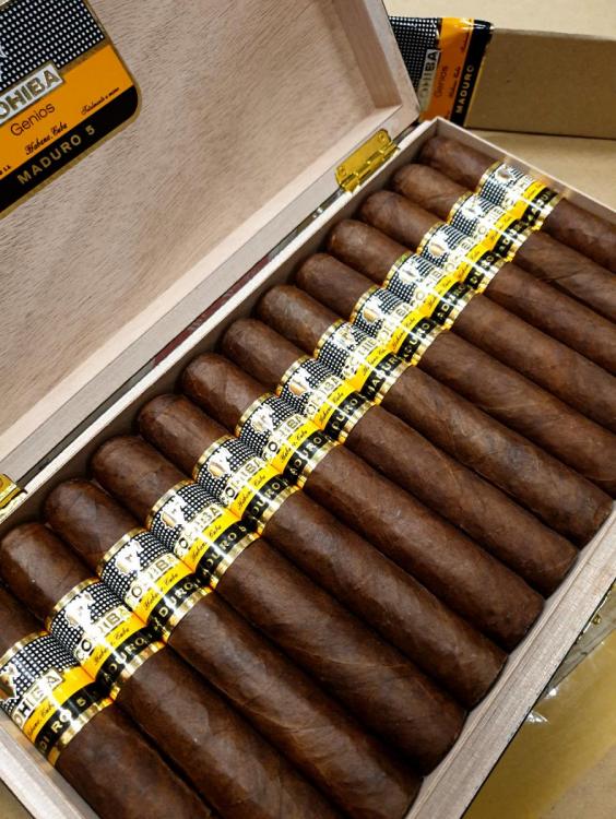 Cohiba Maduro 5 Genios PSP NOV 19.jpg