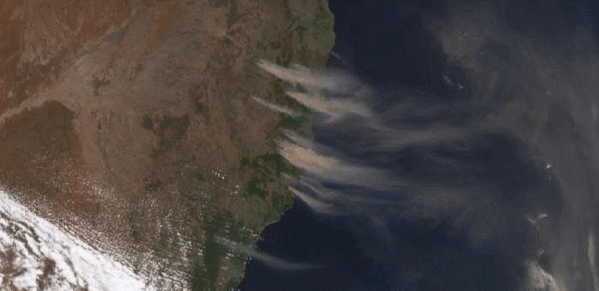 image.gif.cab0bdedfad25246e2d1f9de6c067fe9.gif