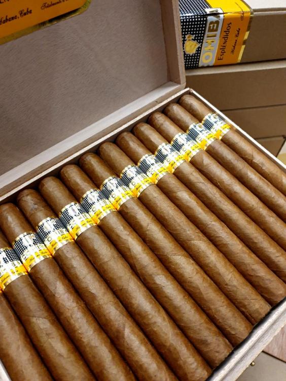 Cohiba Esplendidos PSP OCT 19.jpg