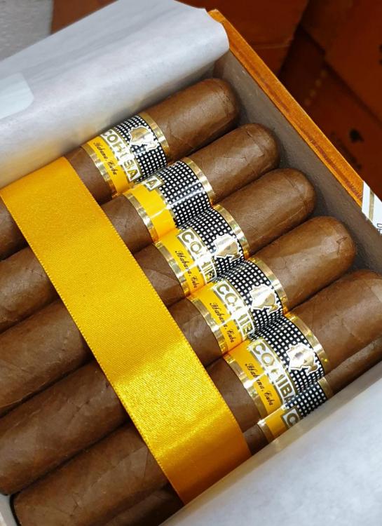 Cohiba Robusto PSP JUN 19.jpg
