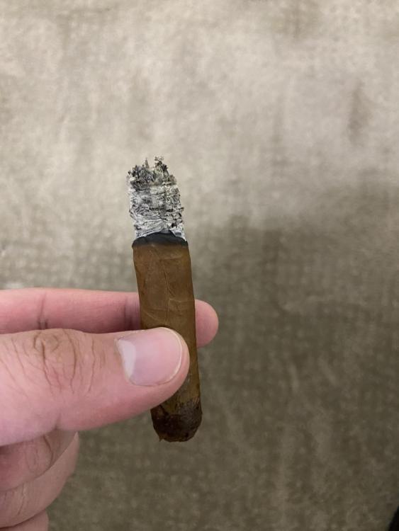 Lancero 3.jpg