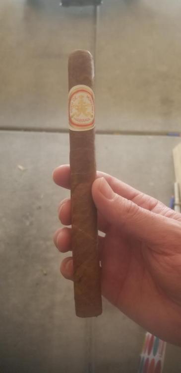 20191129_123151.thumb.jpg.6bc3b9c8a07eda70620e1973cac360e0.jpg