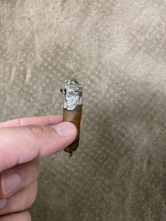 Lancero 4.jpg