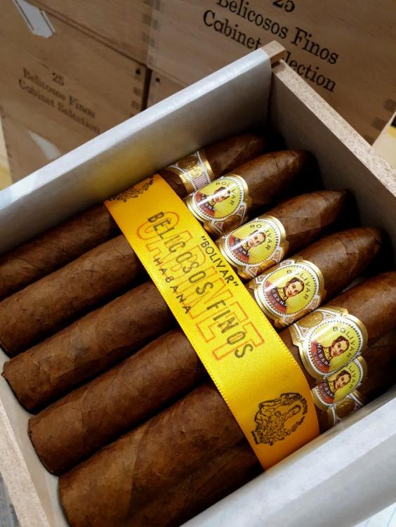 Bolivar Belicoso Finos PSP OCT 19.jpg