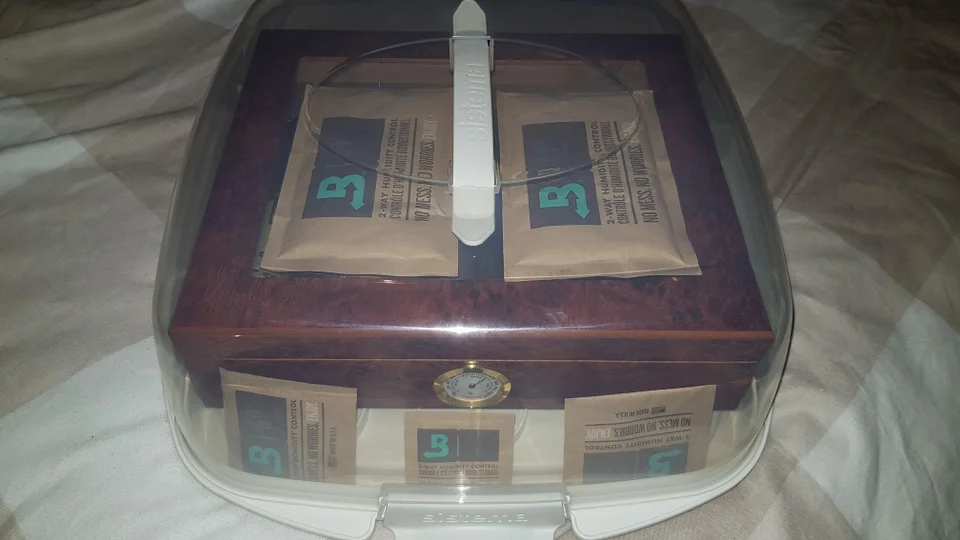 image.png.16d567bc3439c1d37a763ad11e72bd78.png