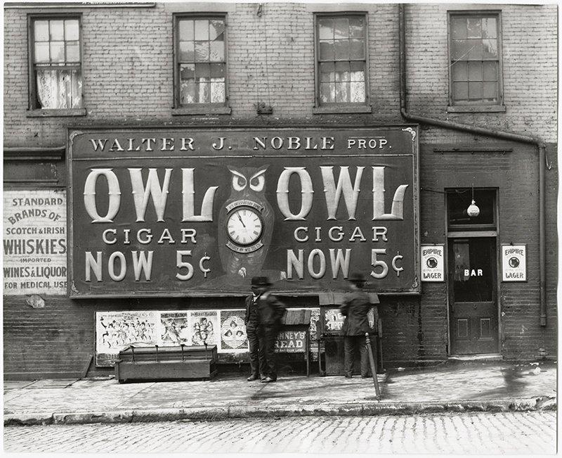 owl.jpg