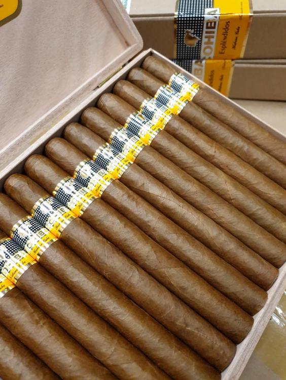 Cohiba Esplendido PSP JAN 20.jpg