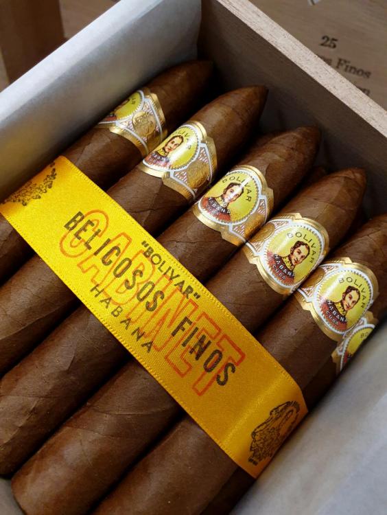 bolivar belicoso Finos HQ JAN 19.jpg
