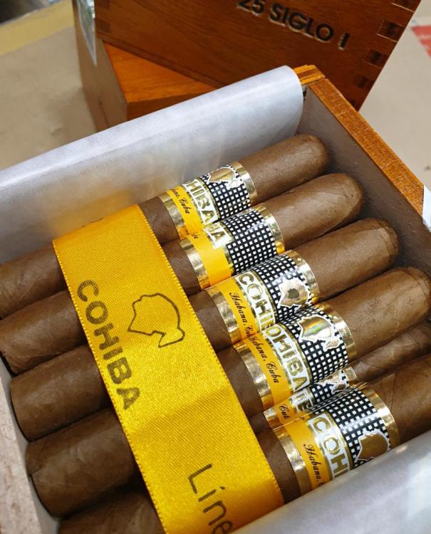 Cohiba Siglo I PSP JAN 19.jpg